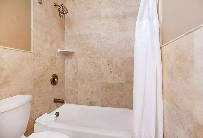 בית מלון כפרי La Quinta By Wyndham Seattle Downtown