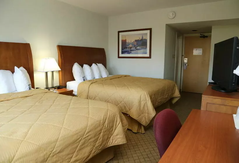 Отель Park East Downtown Lakeshore