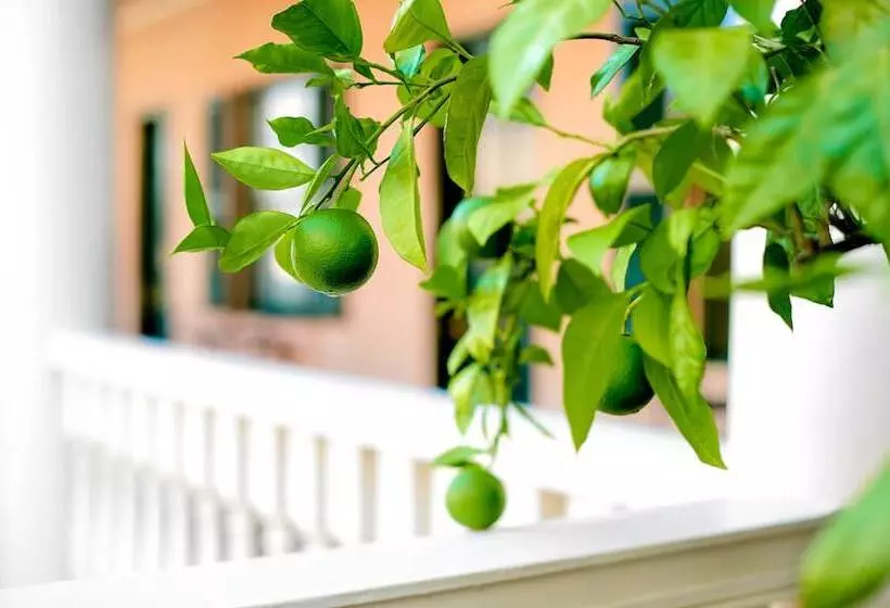 Otel Planters Inn  Charleston