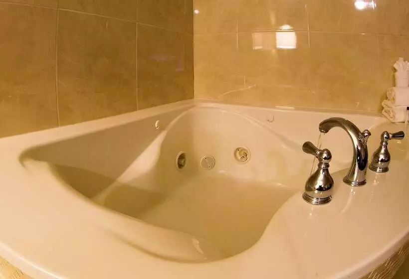 בית מלון כפרי Ramada By Wyndham Houston Intercontinental Airport East