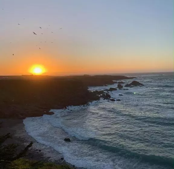 ホテル Seabird Lodge Fort Bragg