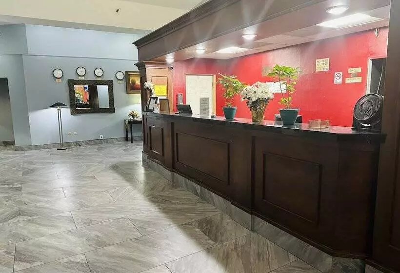 בית מלון כפרי Town Inn