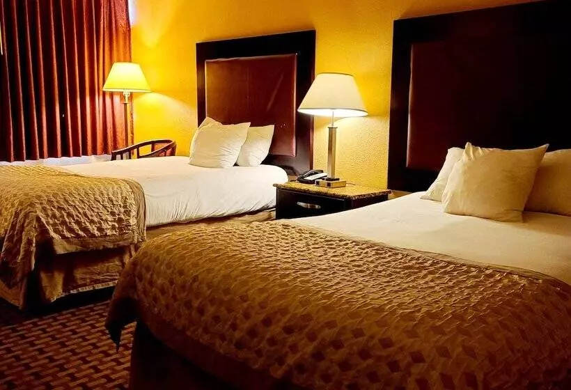 בית מלון כפרי Town Inn