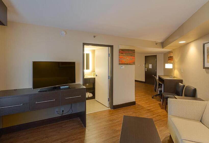 هتل Holiday Inn Express & Suites San Antonio Medical Center North, An Ihg