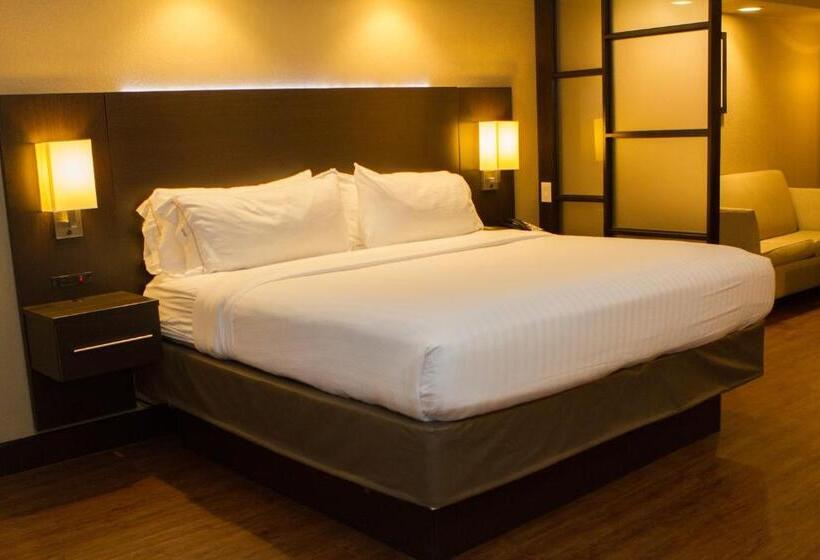 هتل Holiday Inn Express & Suites San Antonio Medical Center North, An Ihg