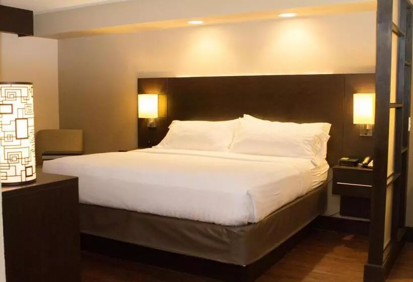 Otel Holiday Inn Express & Suites San Antonio Medical Center North, An Ihg