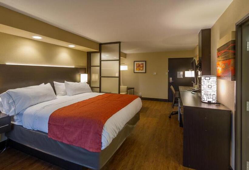 هتل Holiday Inn Express & Suites San Antonio Medical Center North, An Ihg