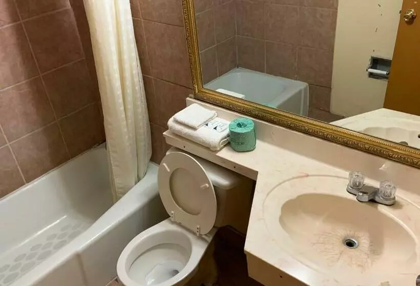 ホテル Real Value Inn