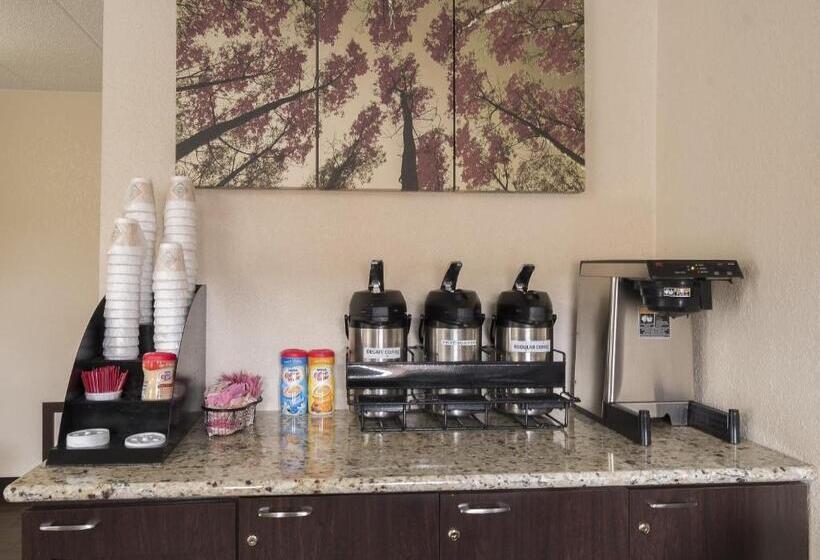 酒店 Red Roof Inn Chicago Ohare Airport Arlington Hts