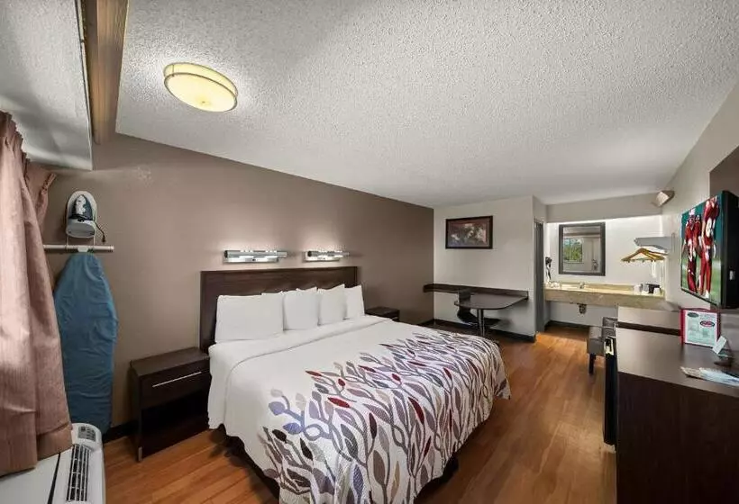 בית מלון כפרי Red Roof Inn Dallas  Dfw Airport North