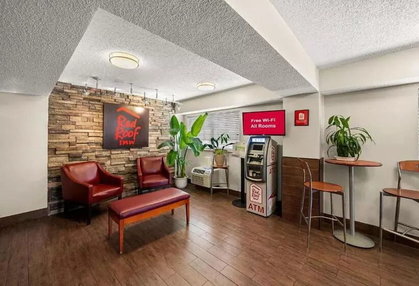 בית מלון כפרי Red Roof Inn Dallas  Dfw Airport North