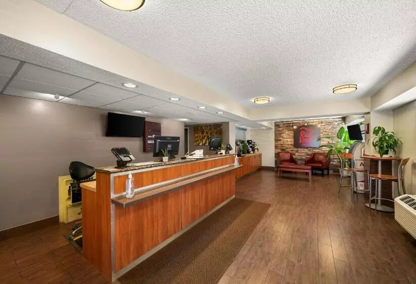 בית מלון כפרי Red Roof Inn Dallas  Dfw Airport North