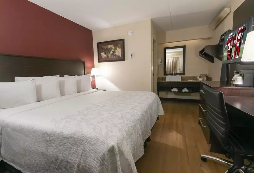 酒店 Red Roof Inn Plus+ University At Buffalo   Amherst