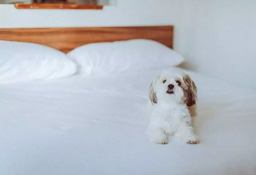 ホテル Royal Grove Waikiki