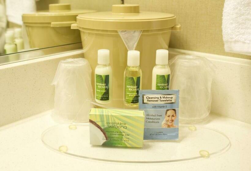 هتل Ambassador Inn St. George