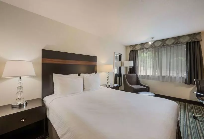 酒店 Best Western Alderwood