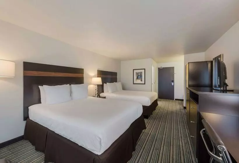 酒店 Best Western Alderwood