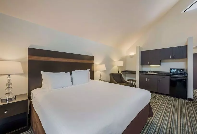 酒店 Best Western Alderwood