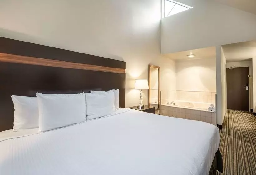 酒店 Best Western Alderwood