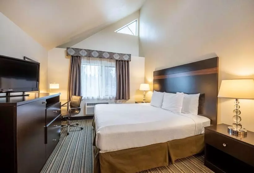 酒店 Best Western Alderwood