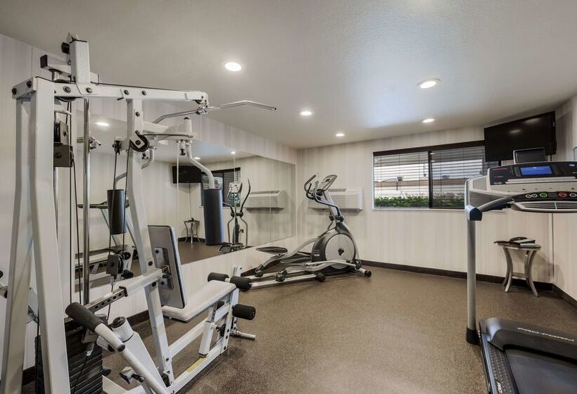 酒店 Best Western Alderwood