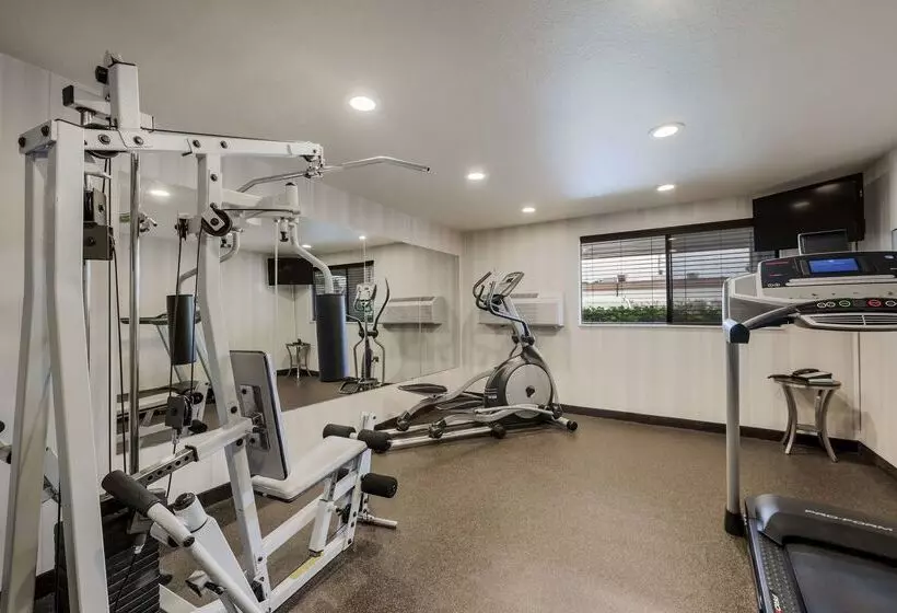 酒店 Best Western Alderwood