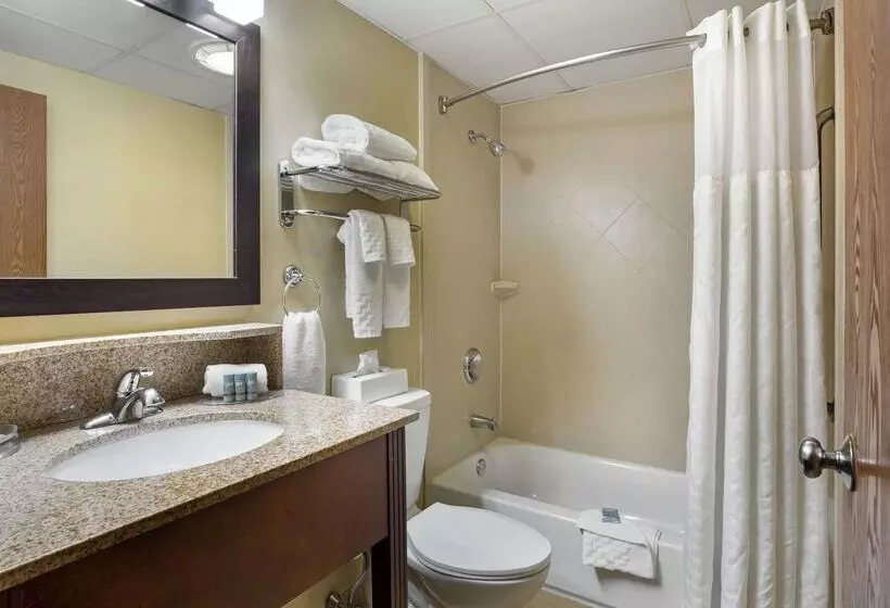 فندق Best Western Plus The Inn At Sharon/foxboro