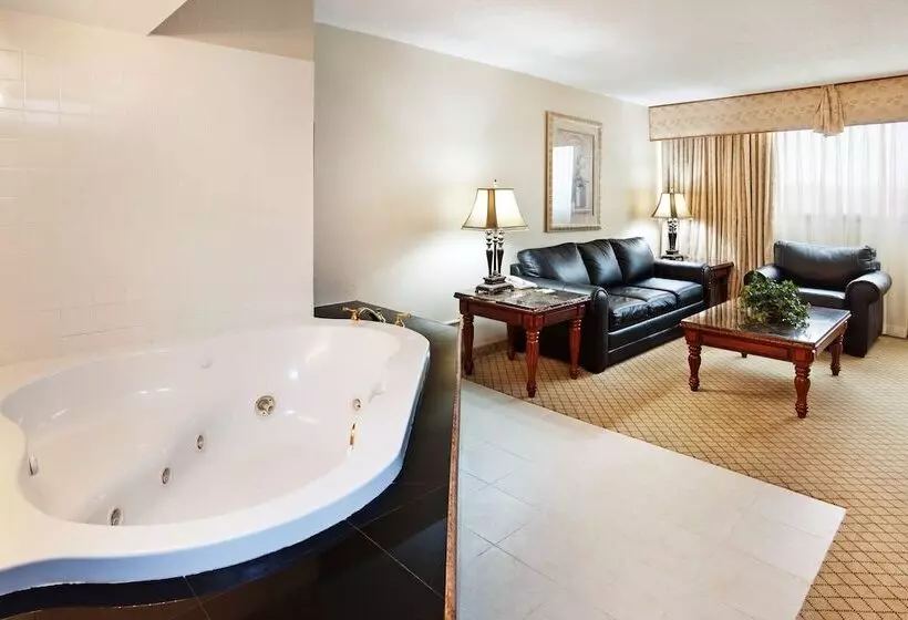 فندق Holiday Inn Johnson City, An Ihg