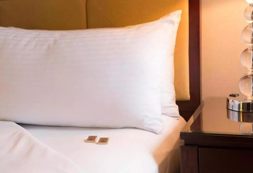 ホテル Millennium Knickerbocker Chicago