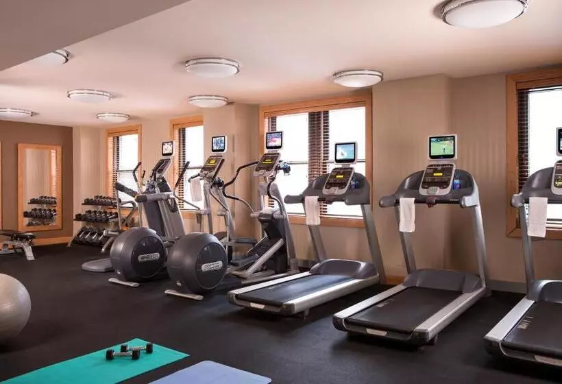 ホテル Millennium Knickerbocker Chicago