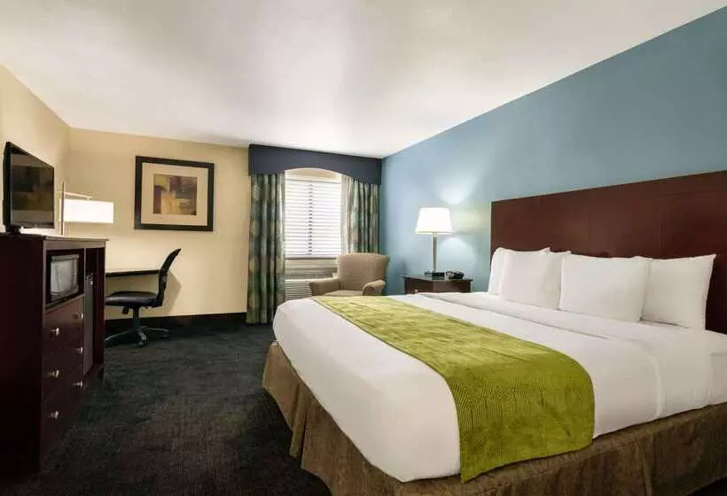 فندق Luxe Studios