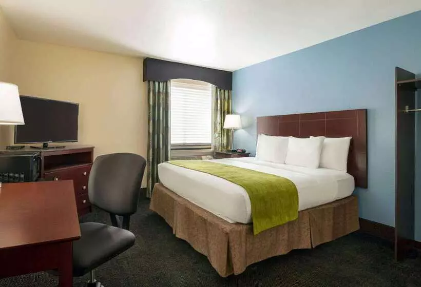 فندق Luxe Studios