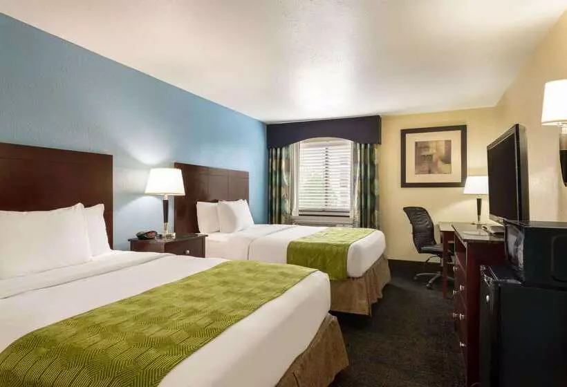 فندق Luxe Studios