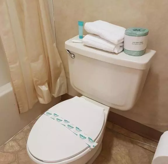 هتل Swiss Village Inn