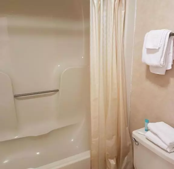 هتل Swiss Village Inn