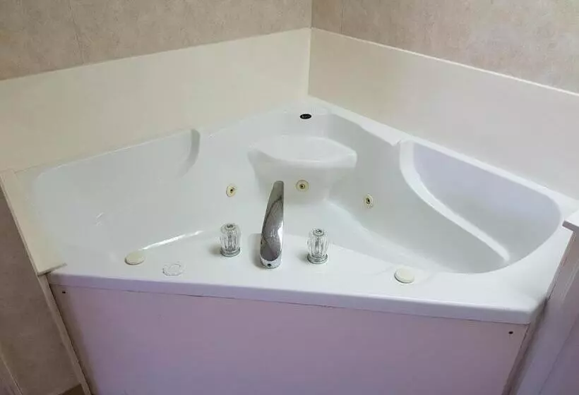 هتل Swiss Village Inn