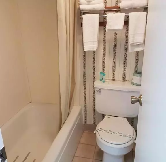 هتل Swiss Village Inn