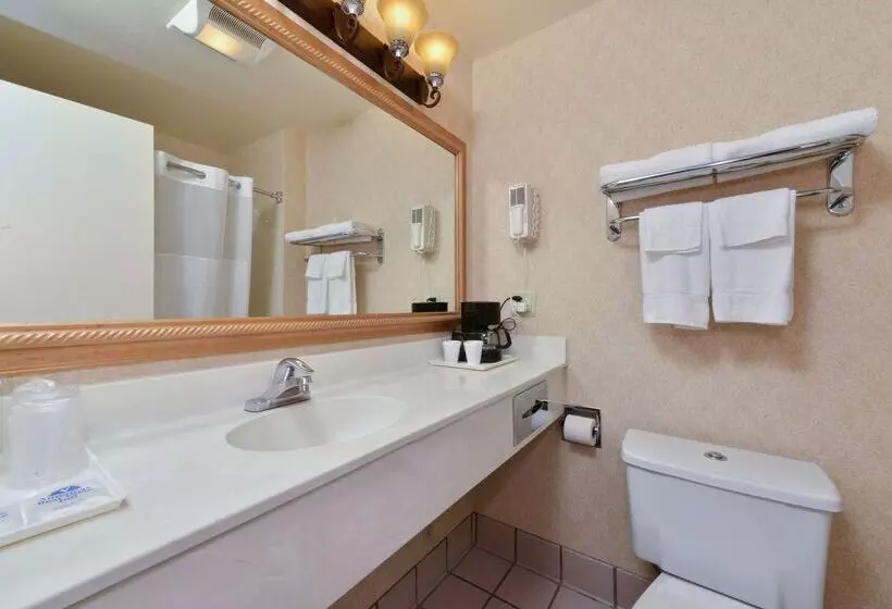 בית מלון כפרי Americas Best Value Inn San Jose Convention Center