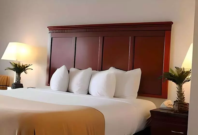 فندق Rodeway Inn