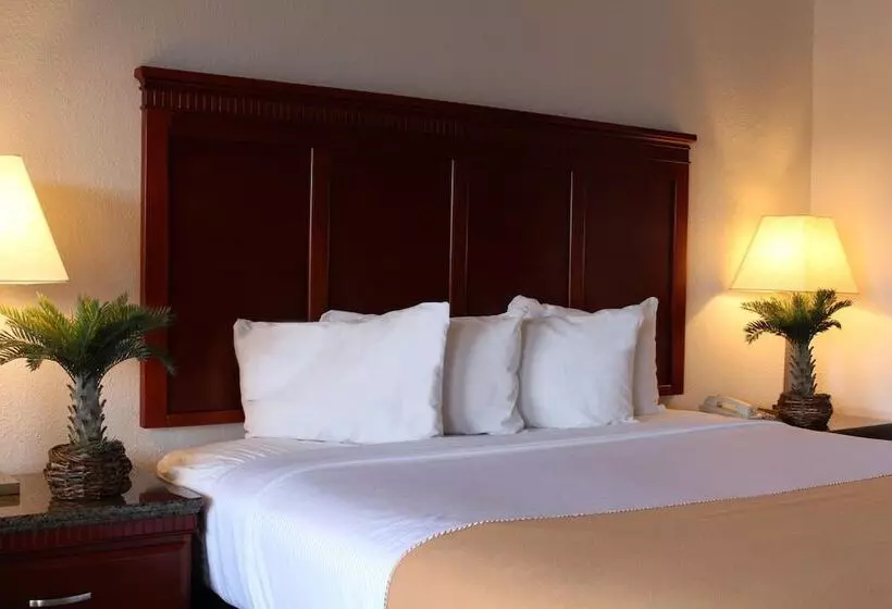 فندق Rodeway Inn