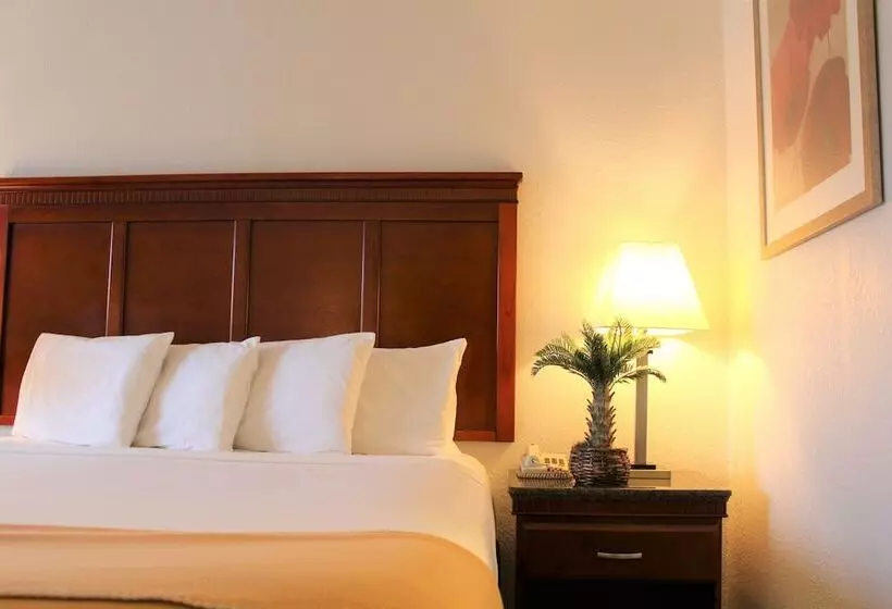 فندق Rodeway Inn