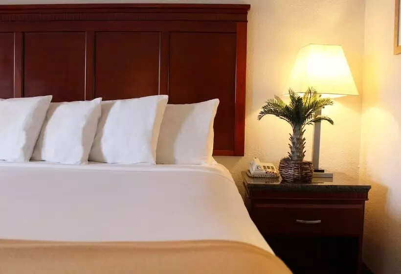 فندق Rodeway Inn