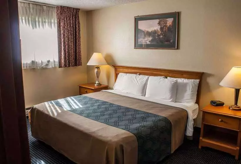 Otel Econo Lodge Inn & Suites