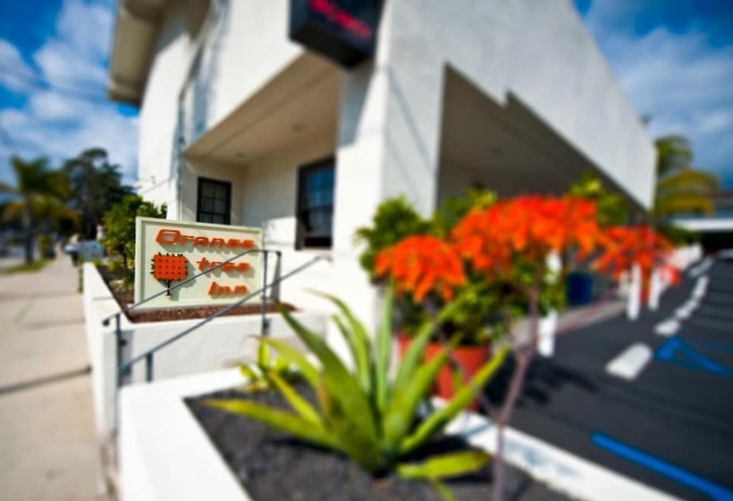 ホテル Orange Tree Inn