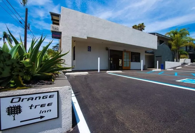 فندق Orange Tree Inn