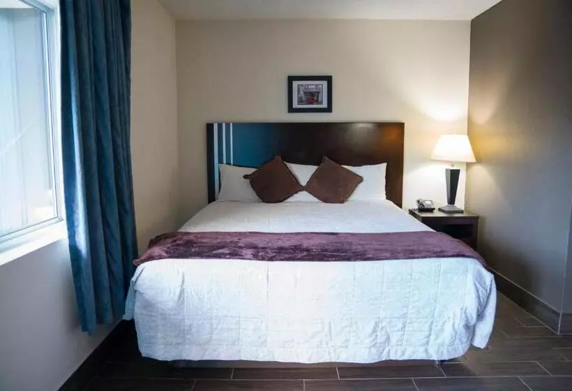 فندق Orange Tree Inn