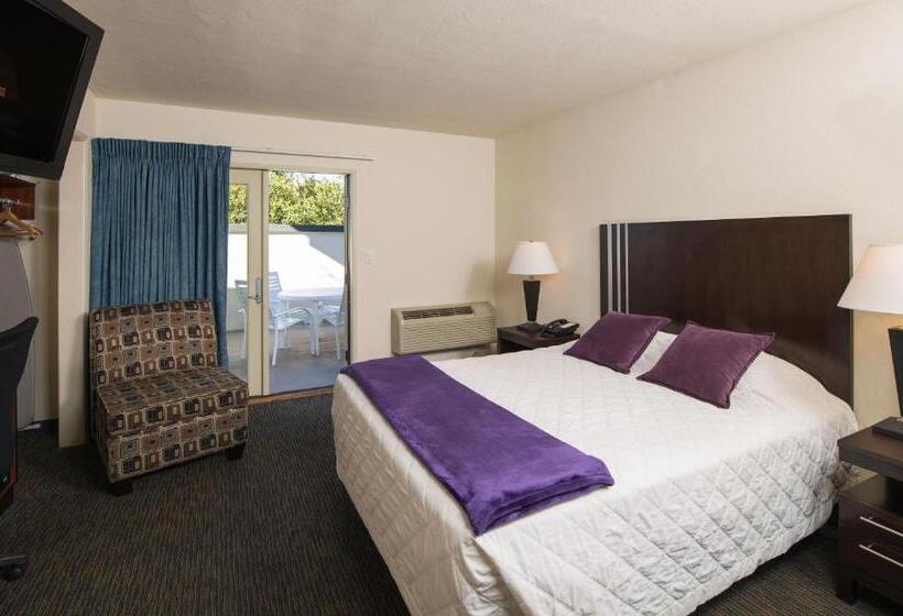 ホテル Orange Tree Inn