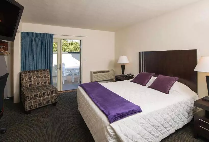 فندق Orange Tree Inn