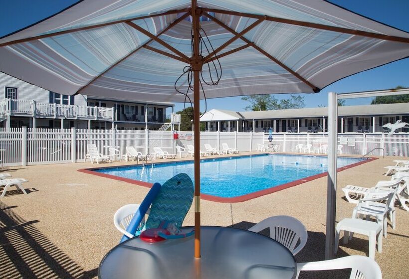 هتل The Tidewater Inn Cape Cod