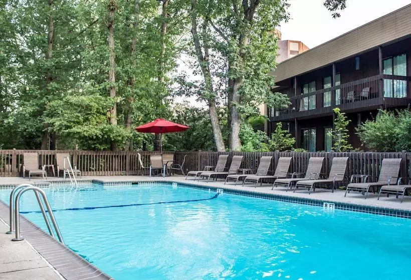 Resort The Woodlands